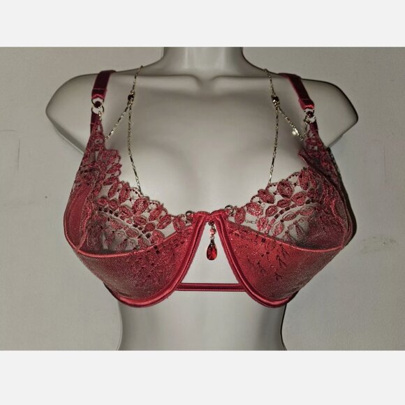 Honey Birdette Ruby Red Bra With Chain NWT